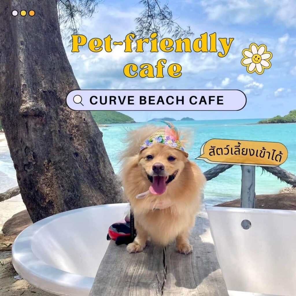 ร้าน Curve Beach Cafe