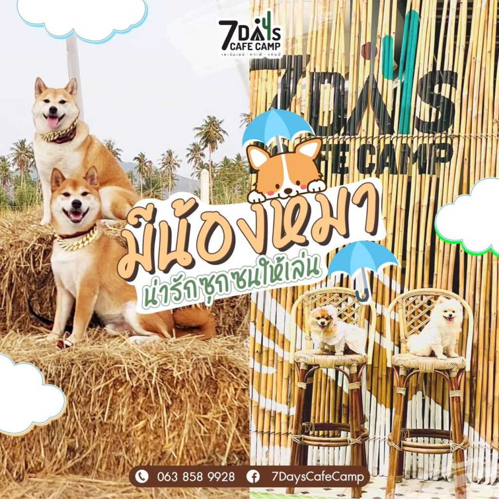 ร้าน 7DaysCafeCamp